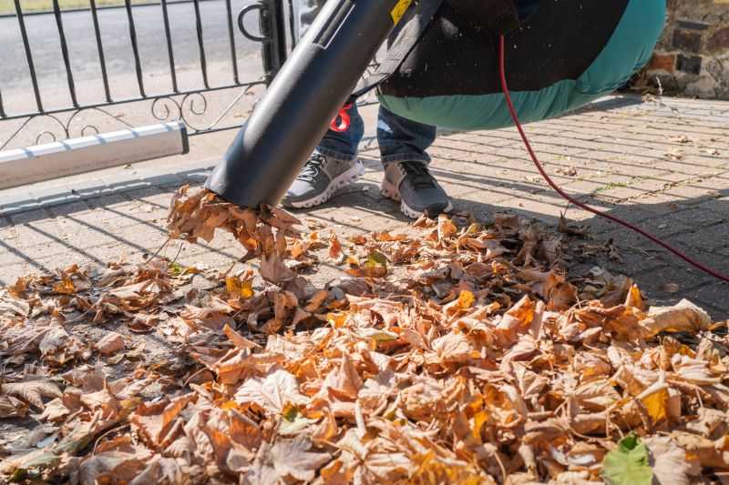 Leaf Blowing for Easy Collection