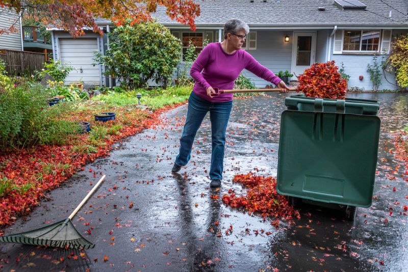 Final Yard Cleanup