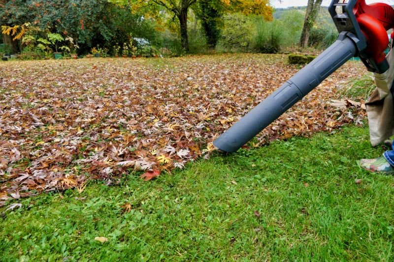 Leaf Blowing