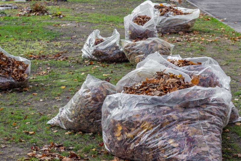 Leaf Disposal