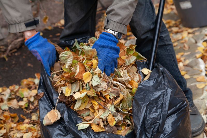 Clean Yard After Leaf Removal