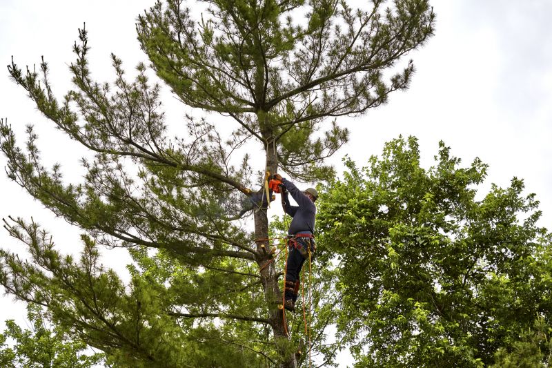 Safety Gear in Use