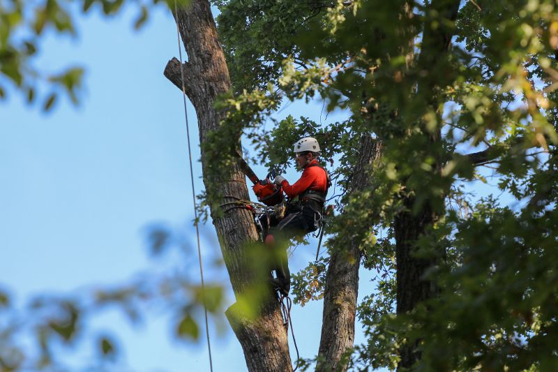 Pre-Removal Site Assessment