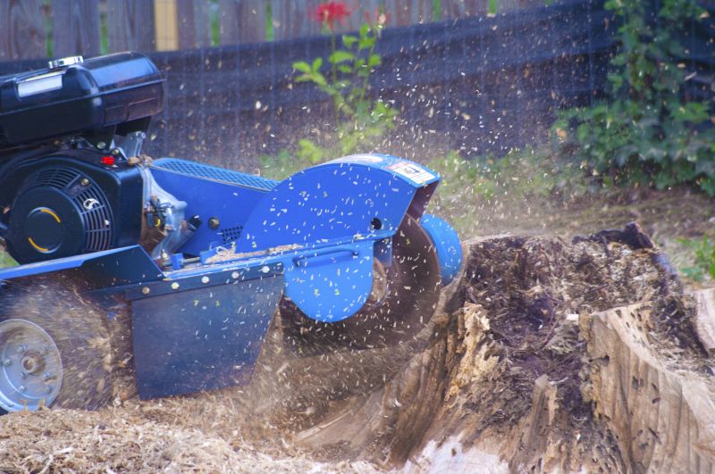 Tree Removal Equipment