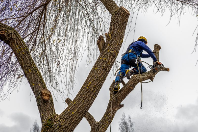 Safety Gear and Precautions