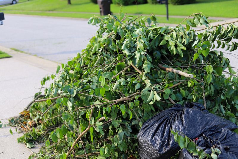Tree Disposal and Cleanup